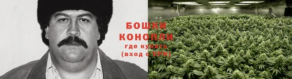 метадон Зеленодольск