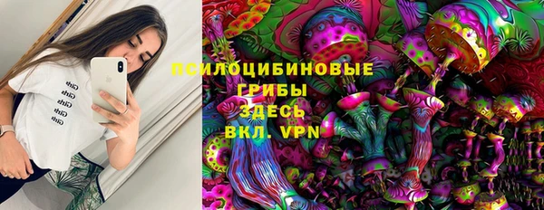 метадон Зеленодольск
