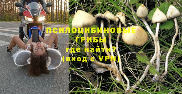 a pvp Зеленокумск