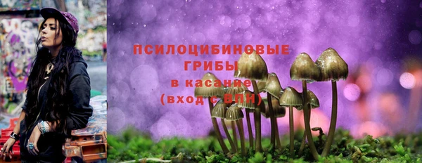 a pvp Зеленокумск