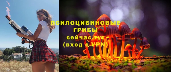 метадон Зеленодольск