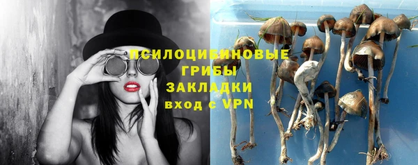 a pvp Зеленокумск