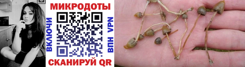 Купить закладки  Петухово  Галлюциногенные грибы мицелий 